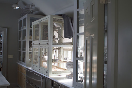Last week, we Frenchies posted a blog about the increasing white dove population. The dove cage is located in the servery off of the kitchen. Last week, we Frenchies posted a blog about the increasing white dove population. The dove cage is located in the servery off of the kitchen.
