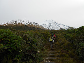 Stairs leading towards Upper Lake Dive Track & Fanthams Peak