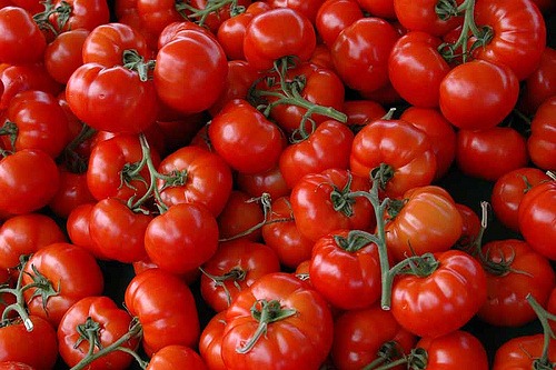 [tomatoe%255B4%255D.jpg]