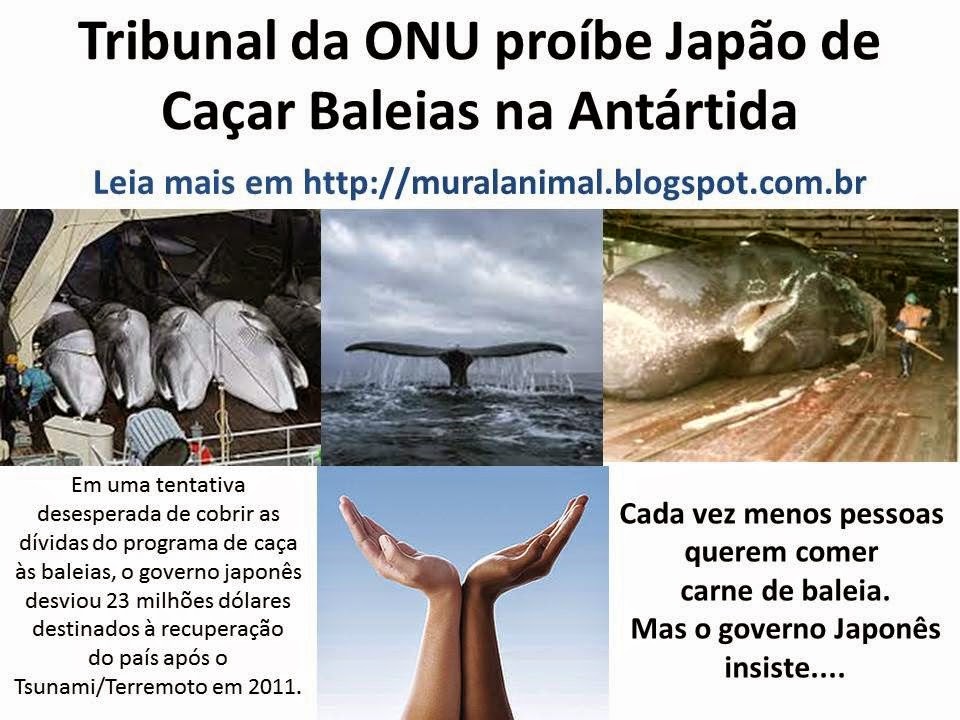 [Tribunal%2520da%2520ONU%2520pro%25C3%25ADbe%2520Jap%25C3%25A3o%2520de%255B3%255D.jpg]