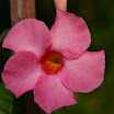 2005-2712.jpg