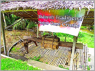 DSCF6795 DSCF6795