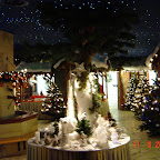 DSC02515.JPG