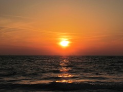 Florida Engelwood sunset14