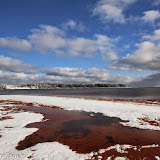 Mar vermelho - Prince Edward Island, Canadá