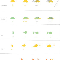 Desenhando Animais 006.jpg