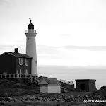 IMG_5999.jpg