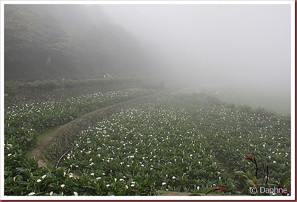IMG_2678 IMG_2678