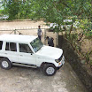 2010dicapoyo13.jpg