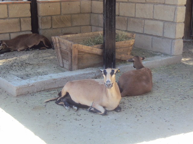 [zoo124.jpg]