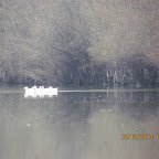 IMG_1567.JPG