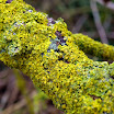 PA174026.JPG
