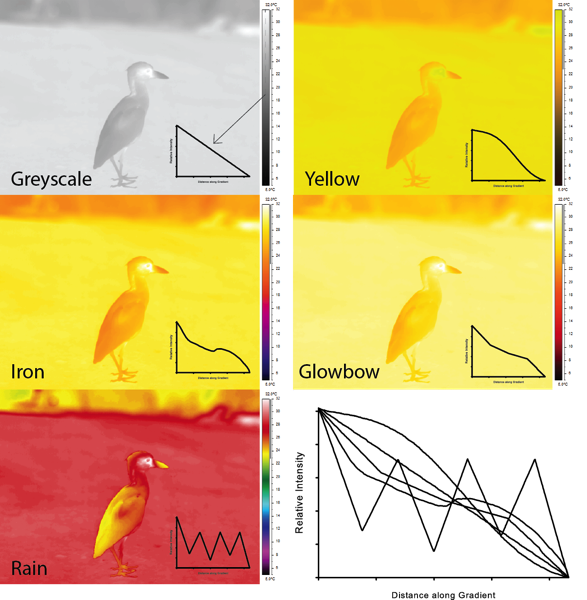 Thermal Image Comparison