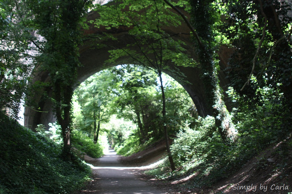 [IMG_4585%255B9%255D.jpg]