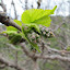 2013-04-08: Letzer Tag in Los Llanos