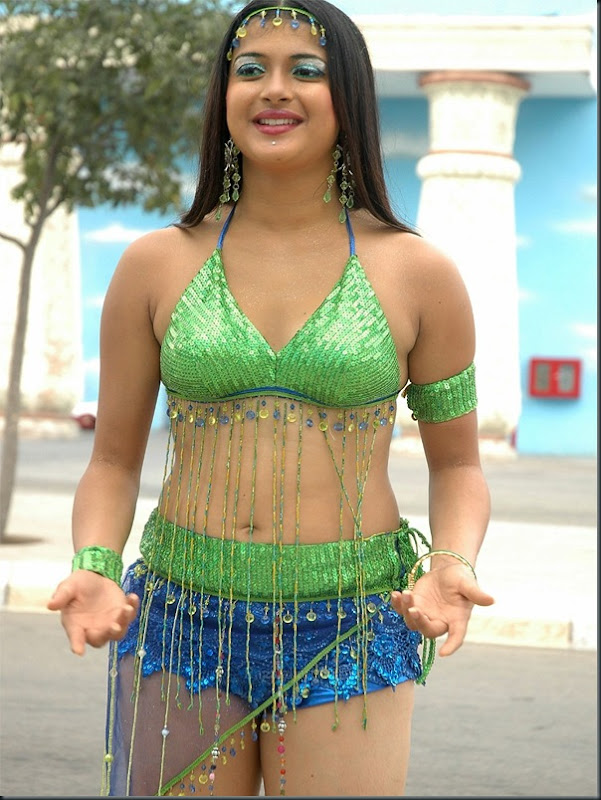 Telugu Actress Nicole Photos-22