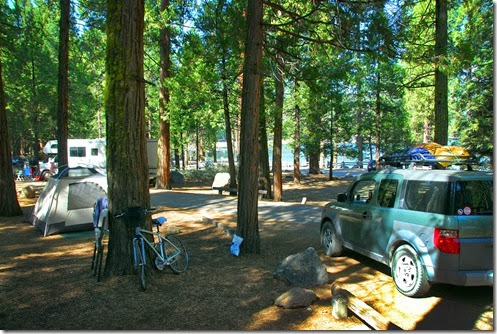 Pinecrest Campsite