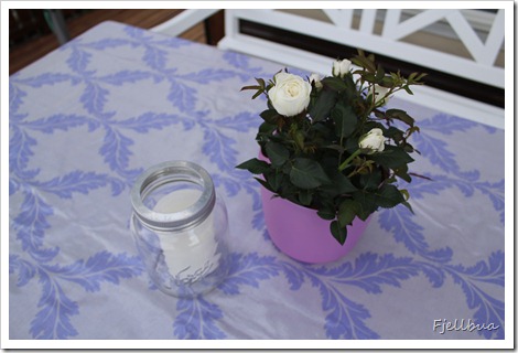 IMG_7277 IMG_7277