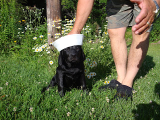 Navy's Baby Picture