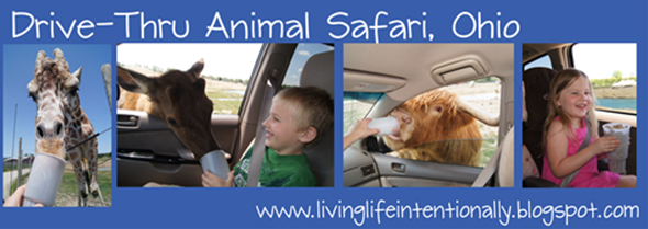 Drive THru Safari Park Family Trip Drive THru Safari Park Family Trip