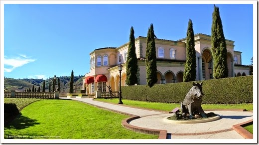 150131_Healdsburg_DryCreek_FerrariCarano_pano