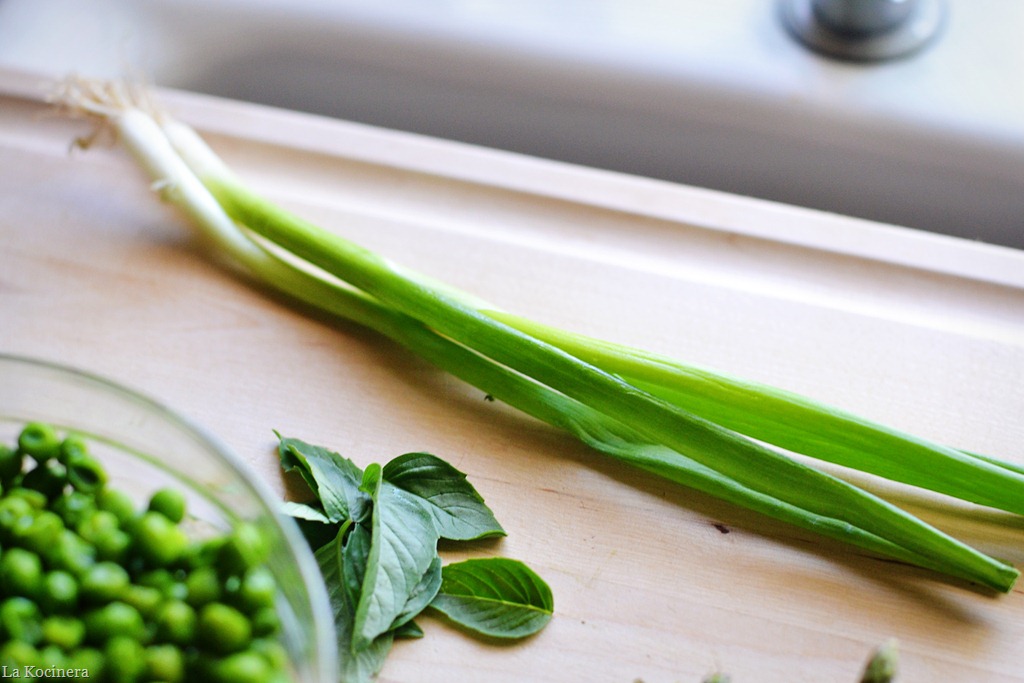 [green%2520onion%255B3%255D.jpg]