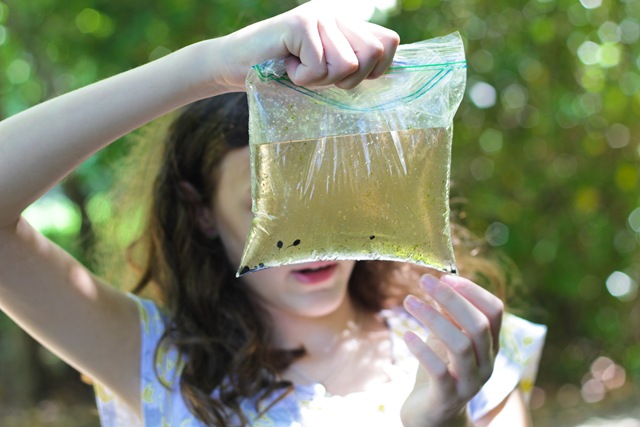 [TheTadpoles%2520%25281%2520of%25201%2529%255B4%255D.jpg]