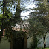 Exterior de Ca n'Oliver