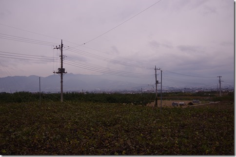 IMGP3754 IMGP3754