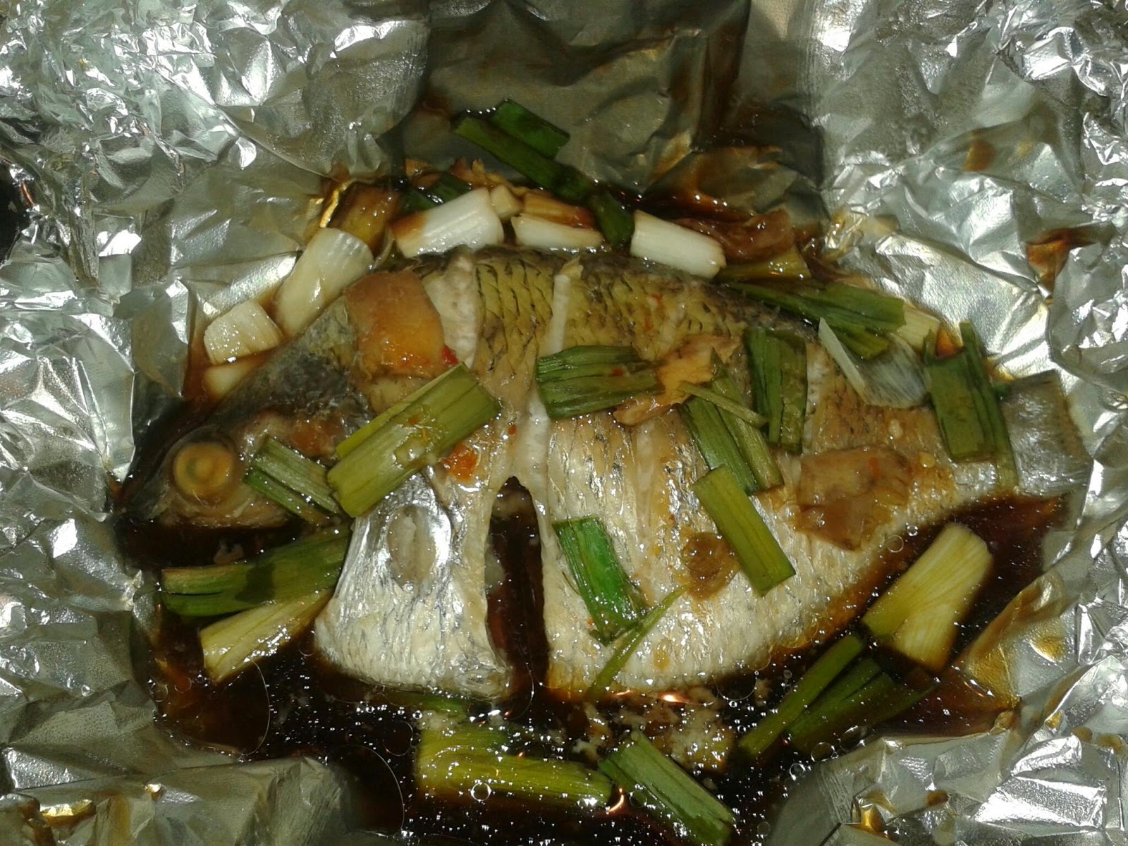 How to steam fish in foil – Dishwashing service