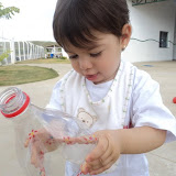 DSC03958.JPG