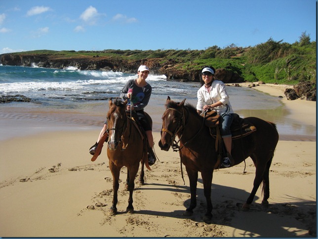 kauai_horse_aya_trish2