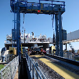 IMG_0320.jpg