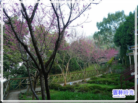 a022.jpg