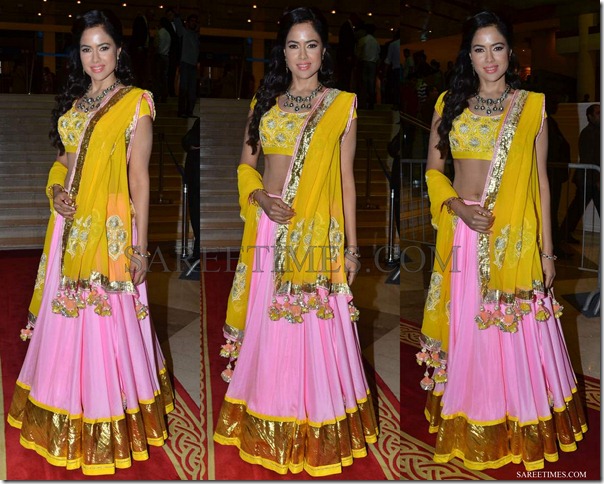 Sameera_Reddy_Nikasha_Lehenga