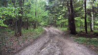 IMG_3456.JPG