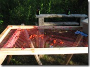 IMG_5659 IMG_5659