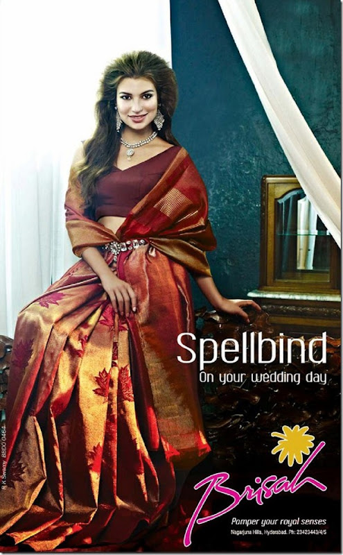 Brisah_Wedding_Saree