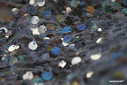 Veil decorations