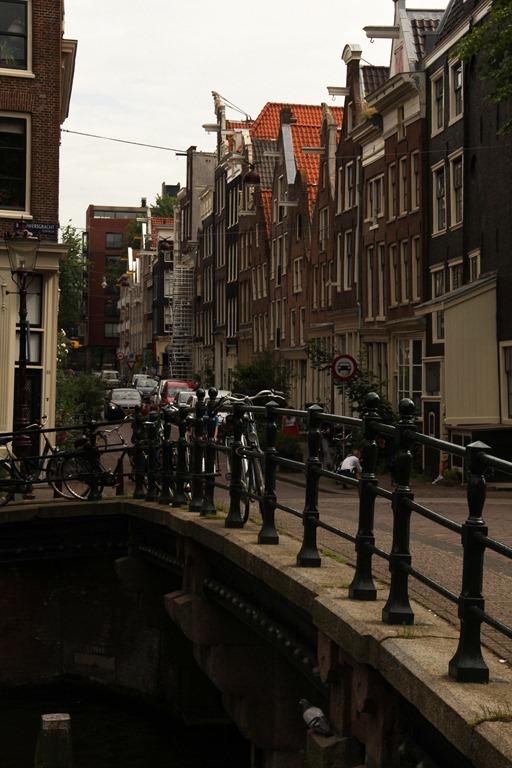 IMG_2446 IMG_2446