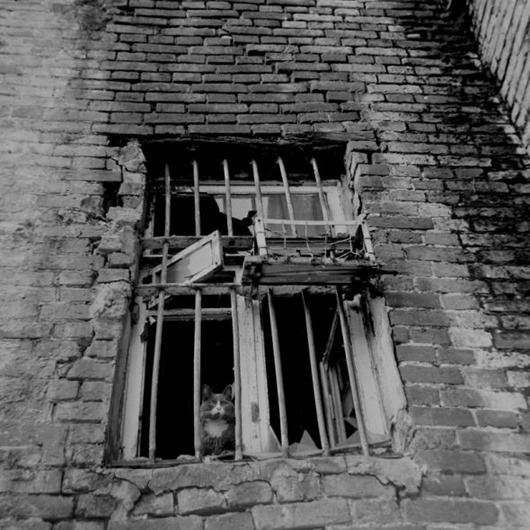 clip_image042 clip_image042