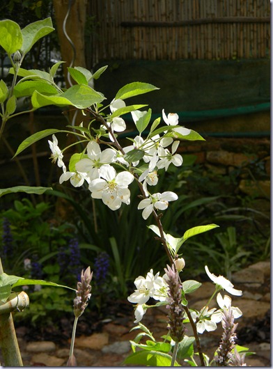 DSCN1094 DSCN1094