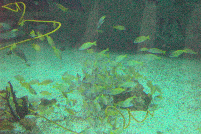 img_025.jpg