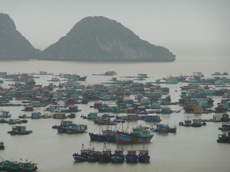 cat-ba-island-2 cat-ba-island-2