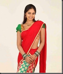 Bindu-Madhavi-In-Banaras-Half-Saree