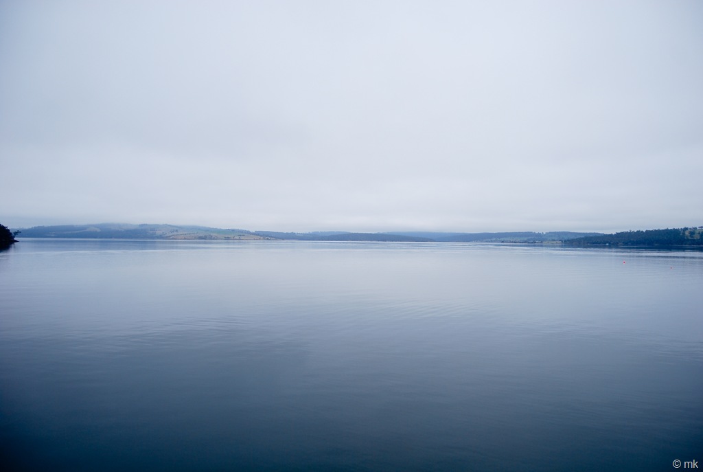 [DSC_10447.jpg]