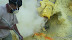 DSC05256.JPG