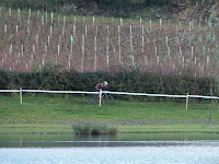 DSCF7948.JPG