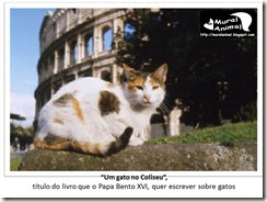 papa_ama_gatos (26) papa_ama_gatos (26)