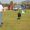 IMG_3029.JPG